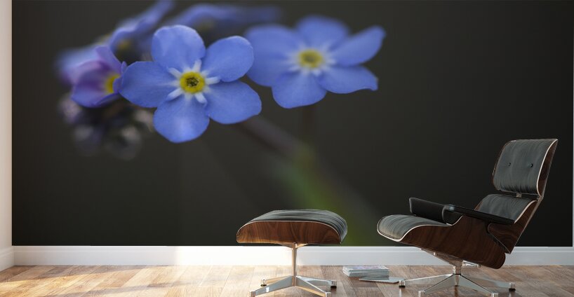 Pretty in Blue Wall Murals