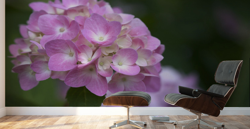 Tea of Heaven Wall Murals