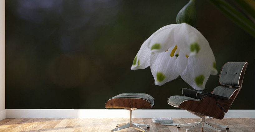 Spring Snowflake Wall Murals