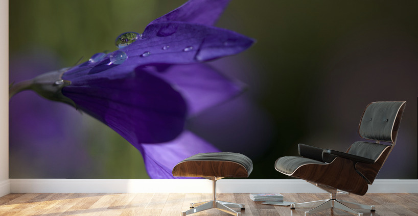 Water Drop Refraction Wall Murals