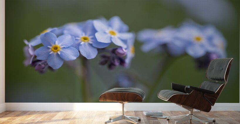 Scorption Grasses Wall Murals