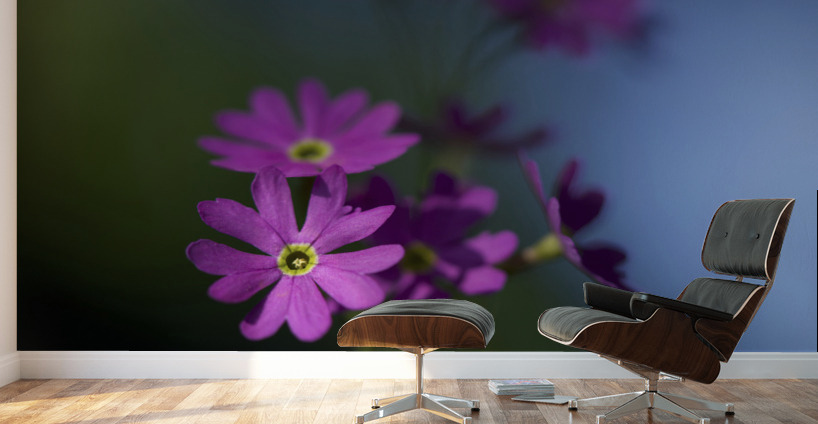 Dainty Blossoms Wall Murals