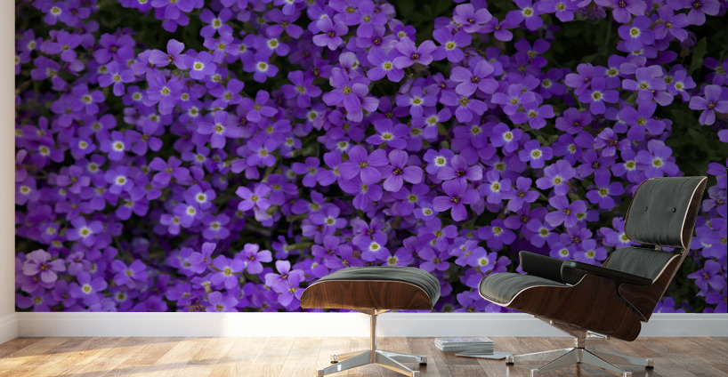 Purple Groundcover Wall Murals