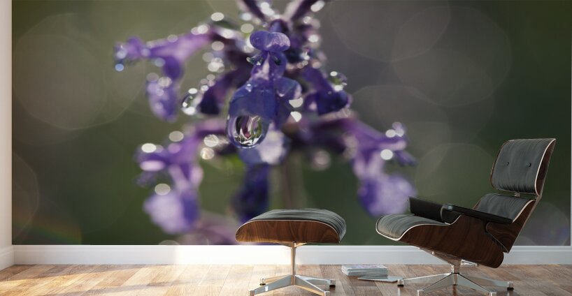 Drops and Bokeh Wall Murals