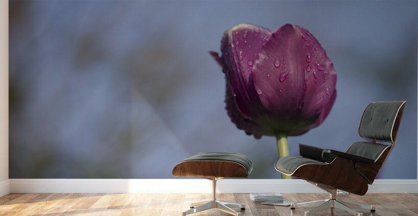 Lady in Purple Wall Murals