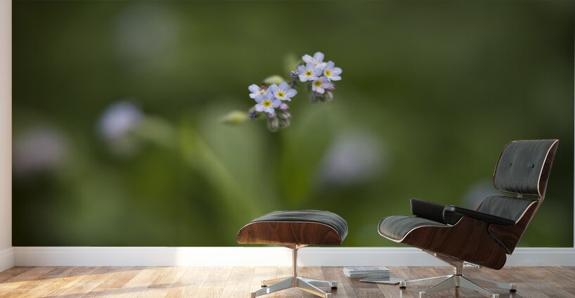 Tiniest Bouquets Wall Murals