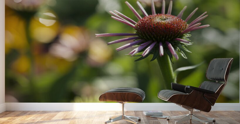 Early Morning Beauty Wall Murals