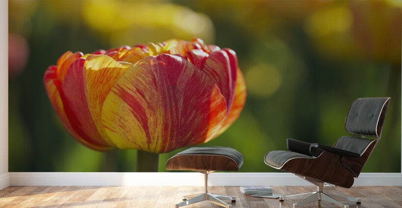 The Lovely One Wall Murals