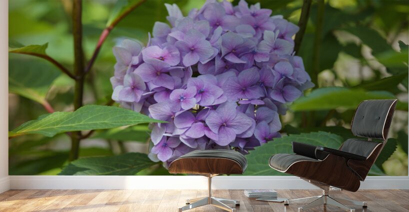 Pretty in Purple Wall Murals