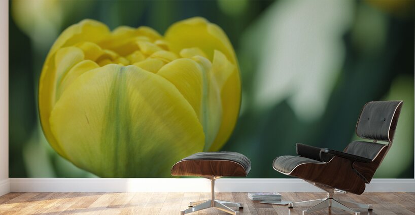 Pretty in Yellow Wall Murals