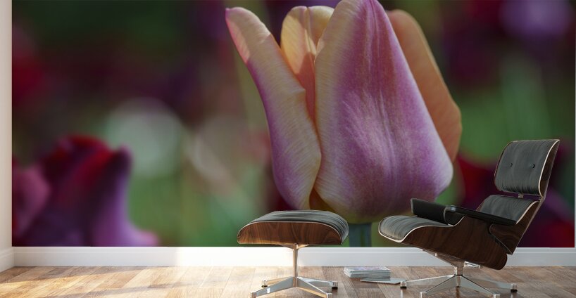 Glowing Lady Wall Murals