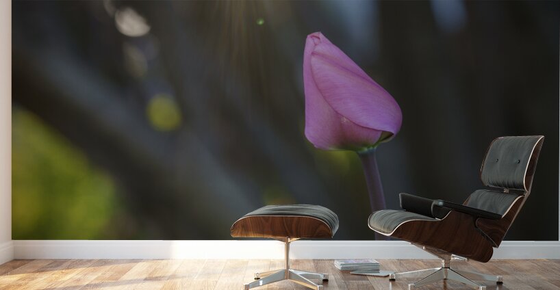 Good Energy Wall Murals