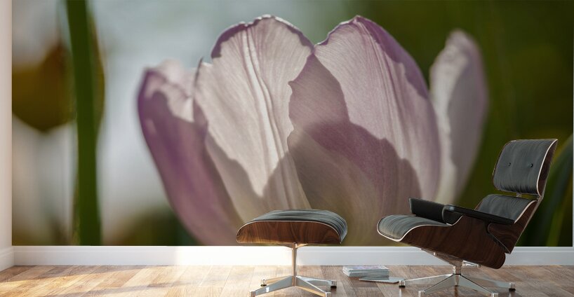 The Glowy One Wall Murals