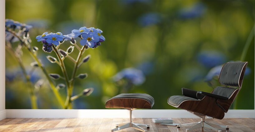 Happy Day Wall Murals