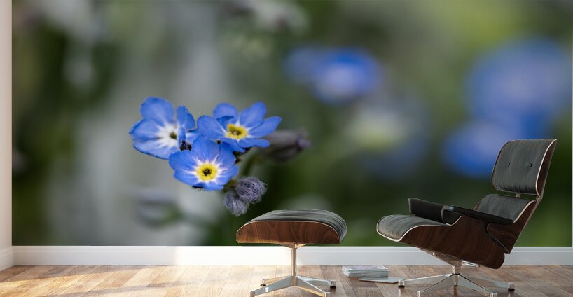 Beauties in Blue Wall Murals