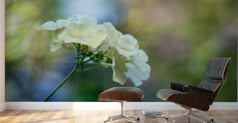 Dreamy State 2 Wall Murals