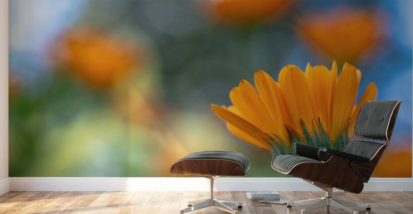 Foreground Wall Murals