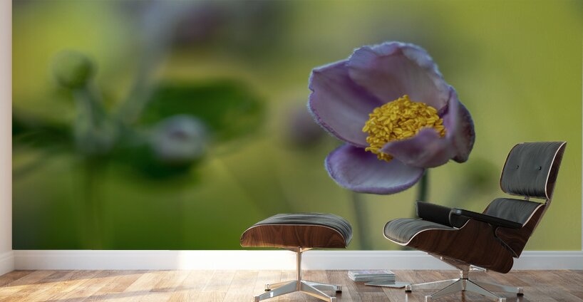 Looking Forward Wall Murals