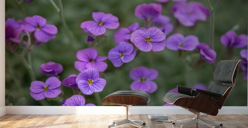 Lilacbush Wall Murals