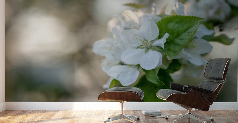 Whispering Blooms Wall Murals