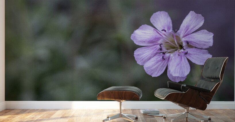 Mauve Melody Wall Murals