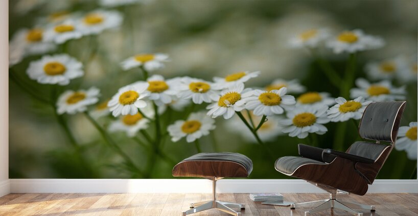 Whispers of Nature Wall Murals