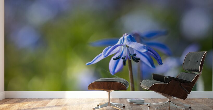 Blue Umbrella Wall Murals