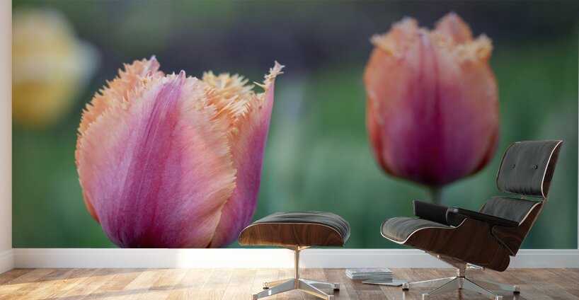 Eyecatching Ones Wall Murals