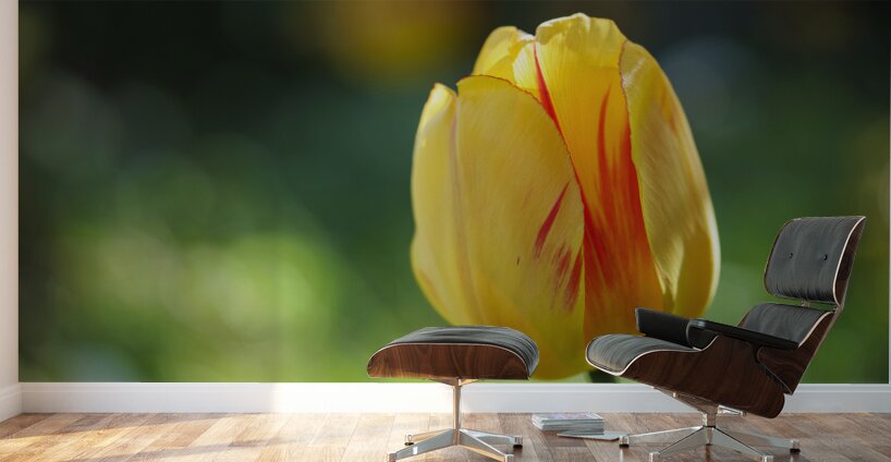 In the Foreground Wall Murals
