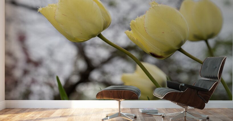 In Good Company Wall Murals