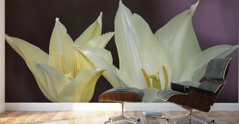 Quite a Pair Wall Murals