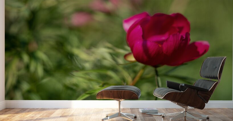 Resilient One Wall Murals