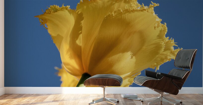 To The Sky Wall Murals