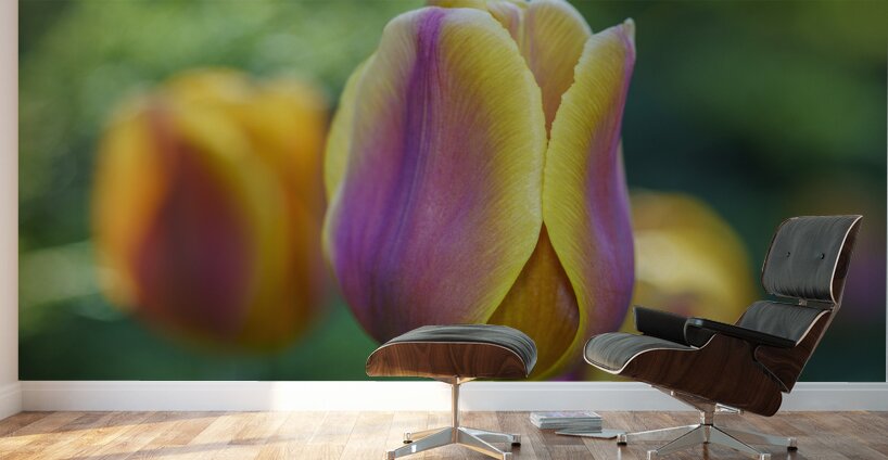 Pastel Colored Lady Wall Murals