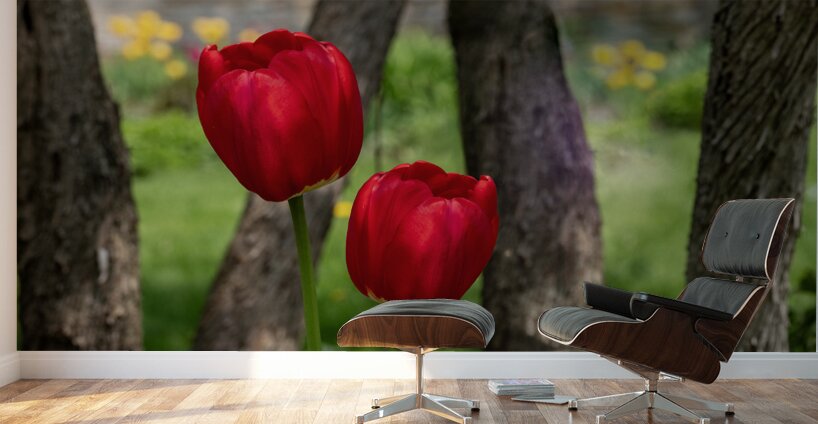 Under the Trees Wall Murals