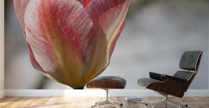 Cheerful Lady Wall Murals