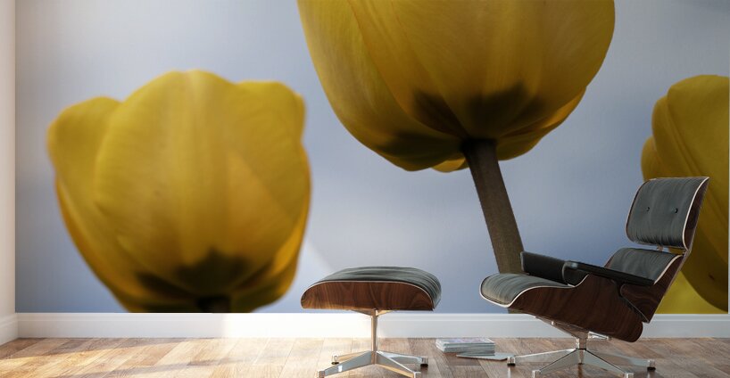 Dearest Friends Wall Murals