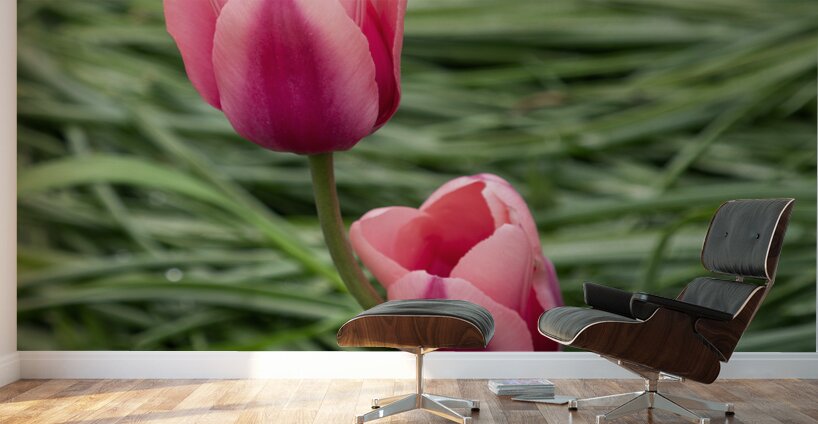 Loving You Wall Murals