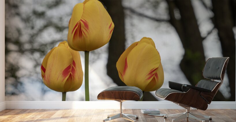 Three Peas in a Pod Wall Murals