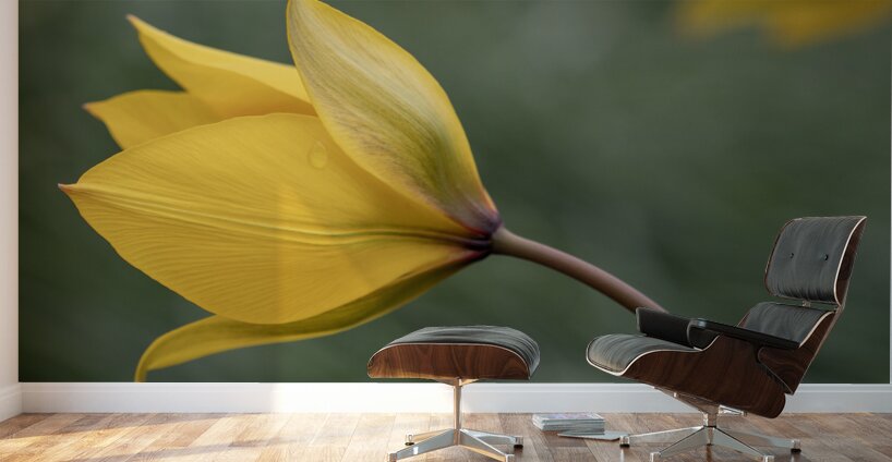 That Way Wall Murals