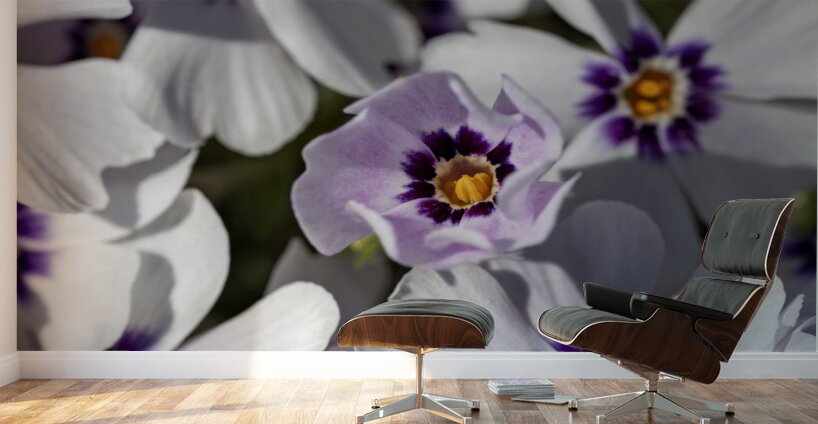 Pretty Nice Wall Murals