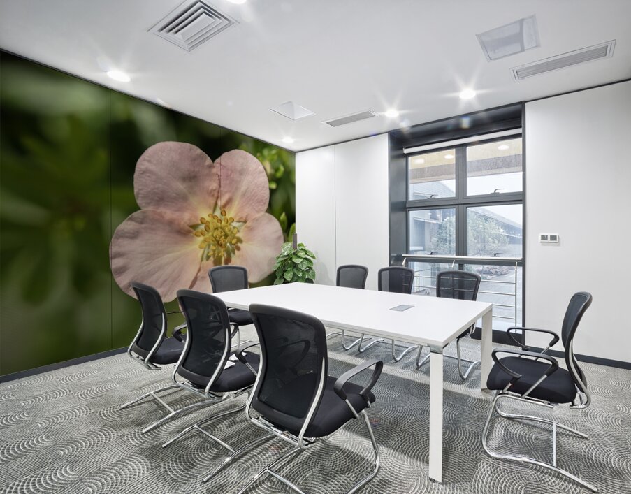 The Wild One Wall Printing