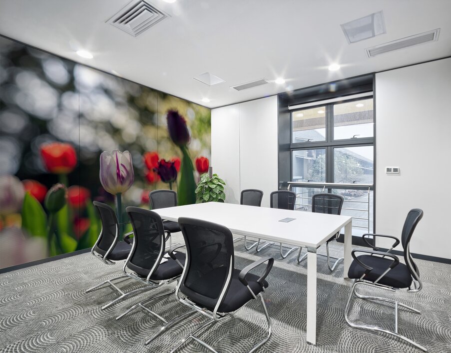  SBP8000 Wall Printing