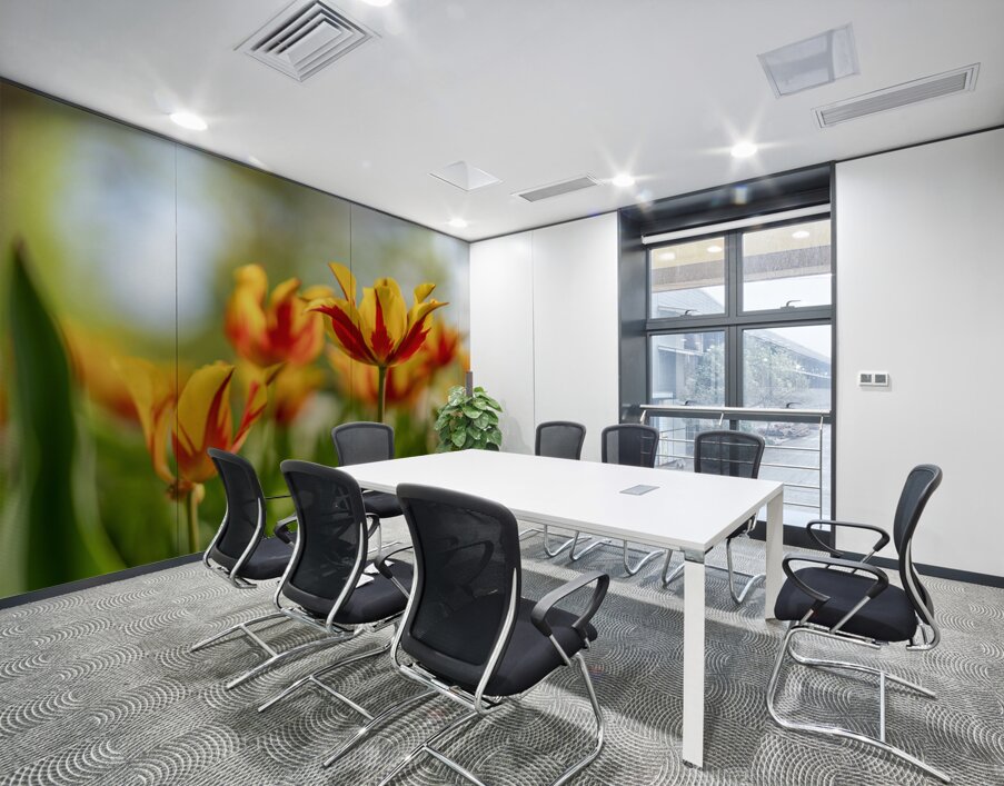  SBP6290 Wall Printing