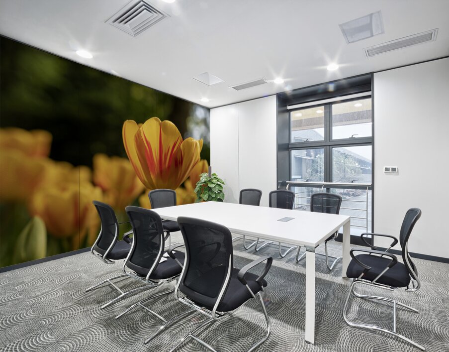 SBP6416 Wall Printing