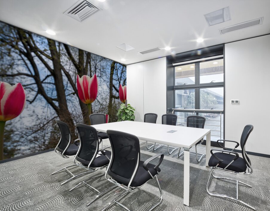 SBP6538 Wall Printing