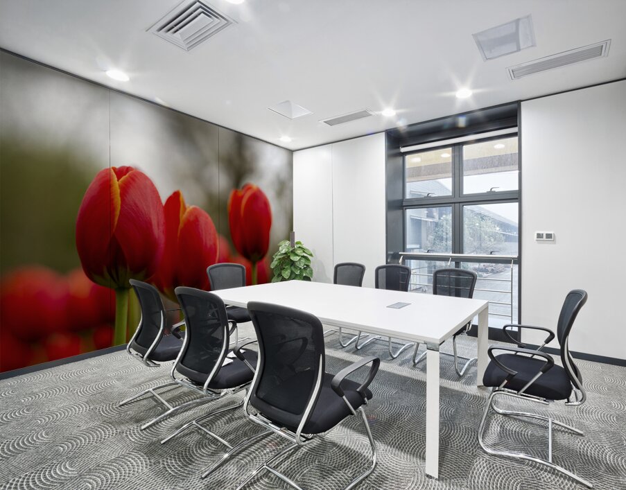 SBP5624 Wall Printing