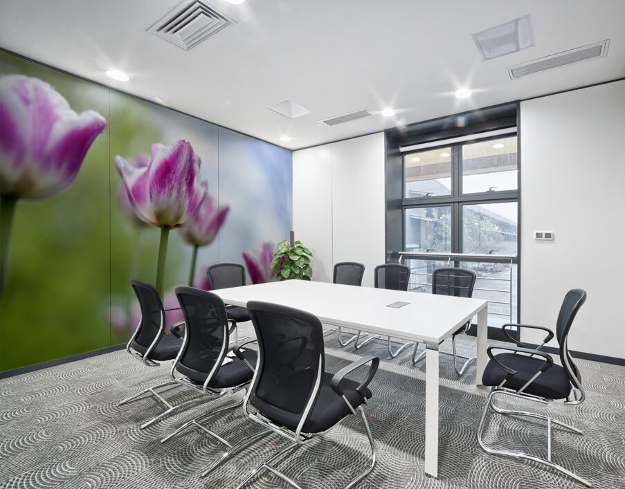 SBP6374 Wall Printing