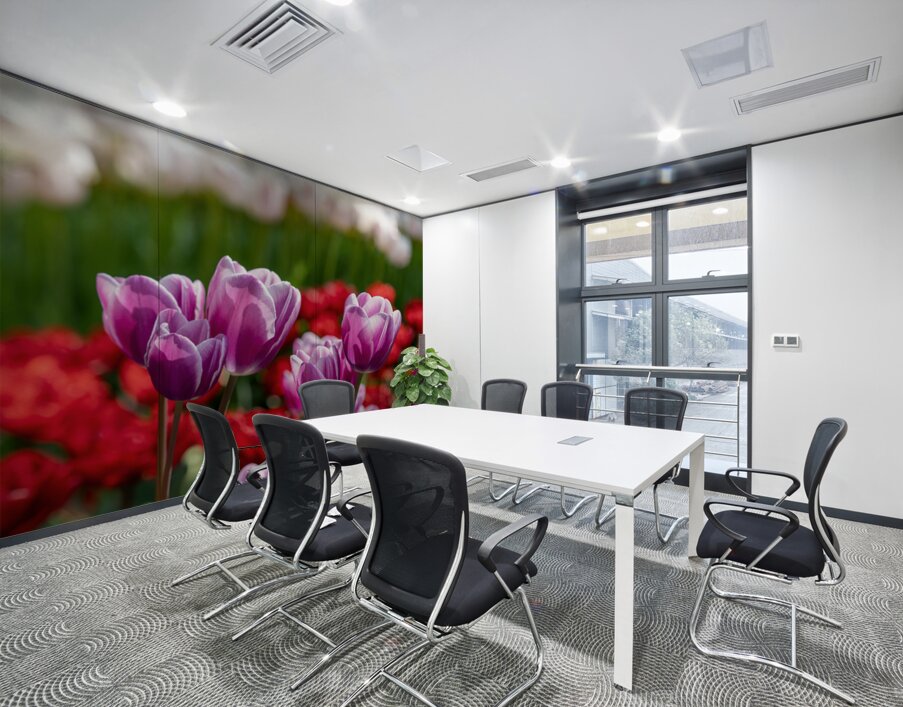 SBP6480 Wall Printing