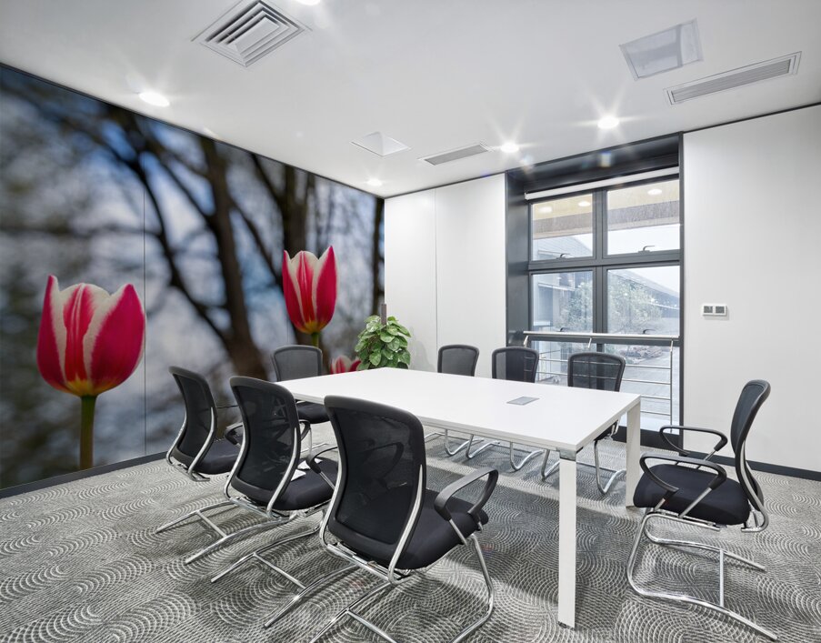 SBP6537 Wall Printing